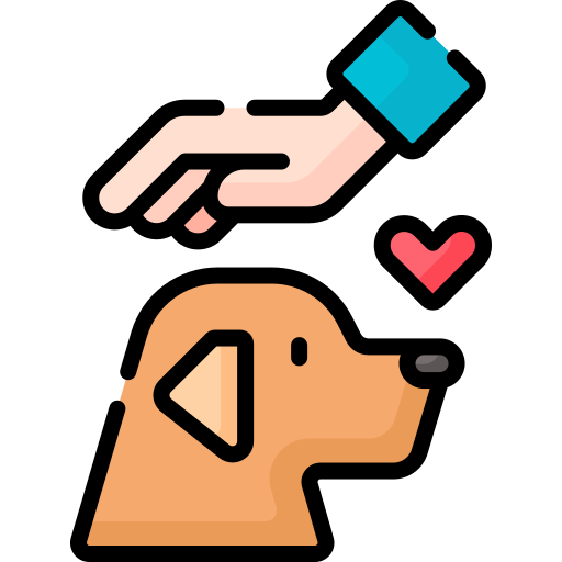 pet & grooming