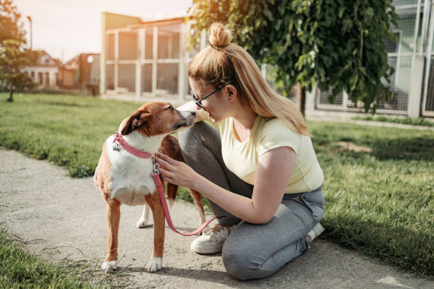 Pet Adoption