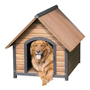 Pet Boarding