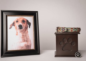 Pet Cremation