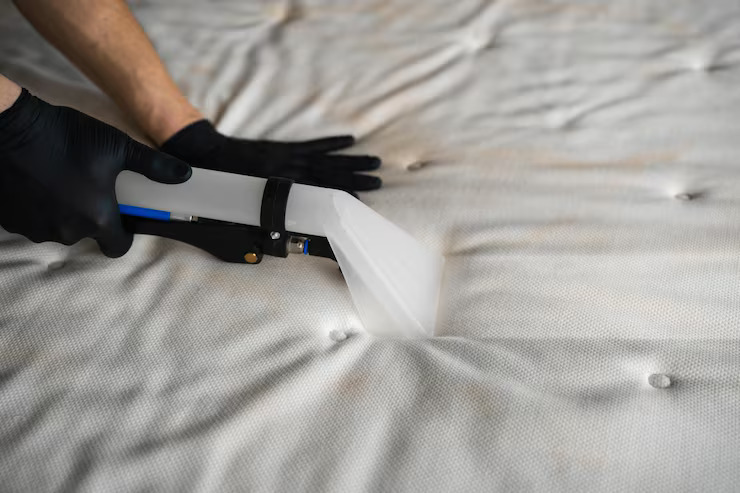 pet hair and stain cleaning services